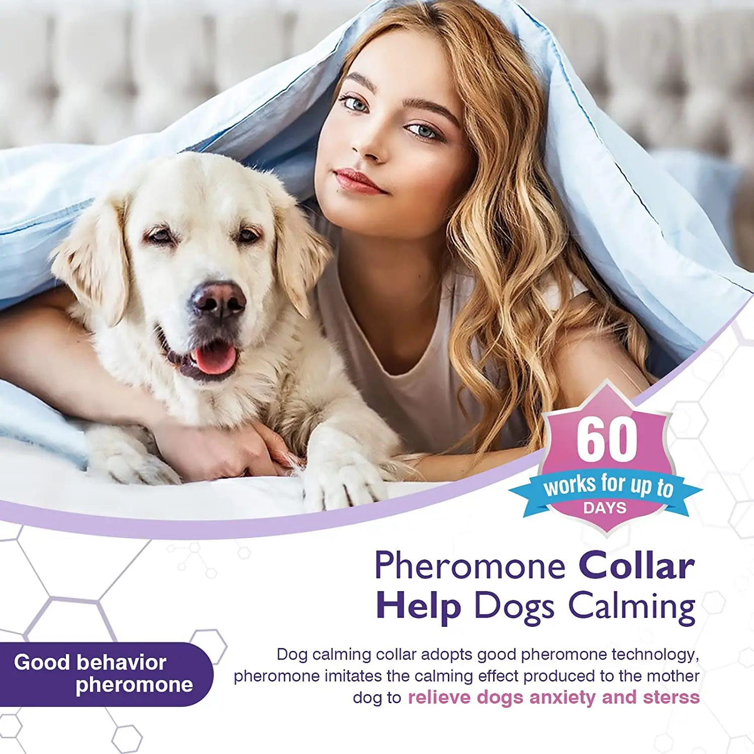 Picture Idea: Calming Collars For Pets
