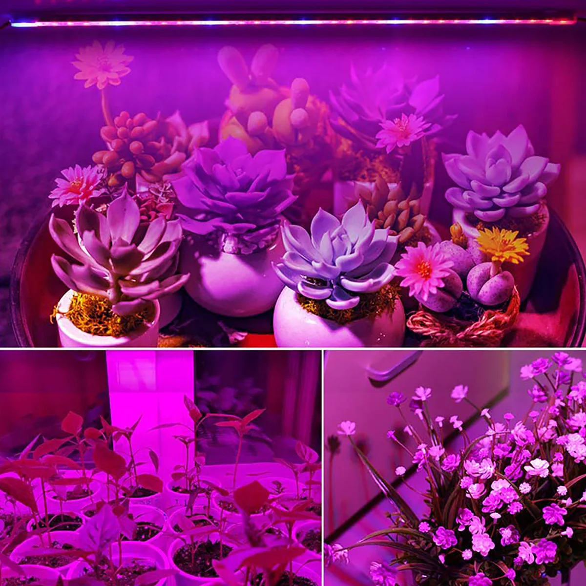 T5 LEDグロウライトバー 2ft 24W フルスペクトル 植物成長ランプ