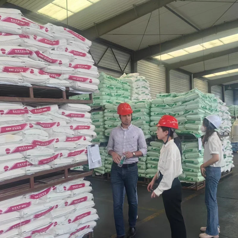 CAS 7440-44-0 SUSTAR Cheap and High Quality Poultry Feed Premix with Organic Trace Elements Chicken Feeds for Broilers