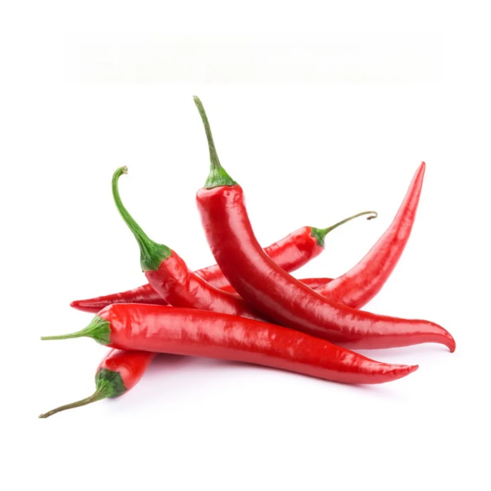 Chilli Seed Oil Extraction Machine Chilli Extract Oleoresin Oil