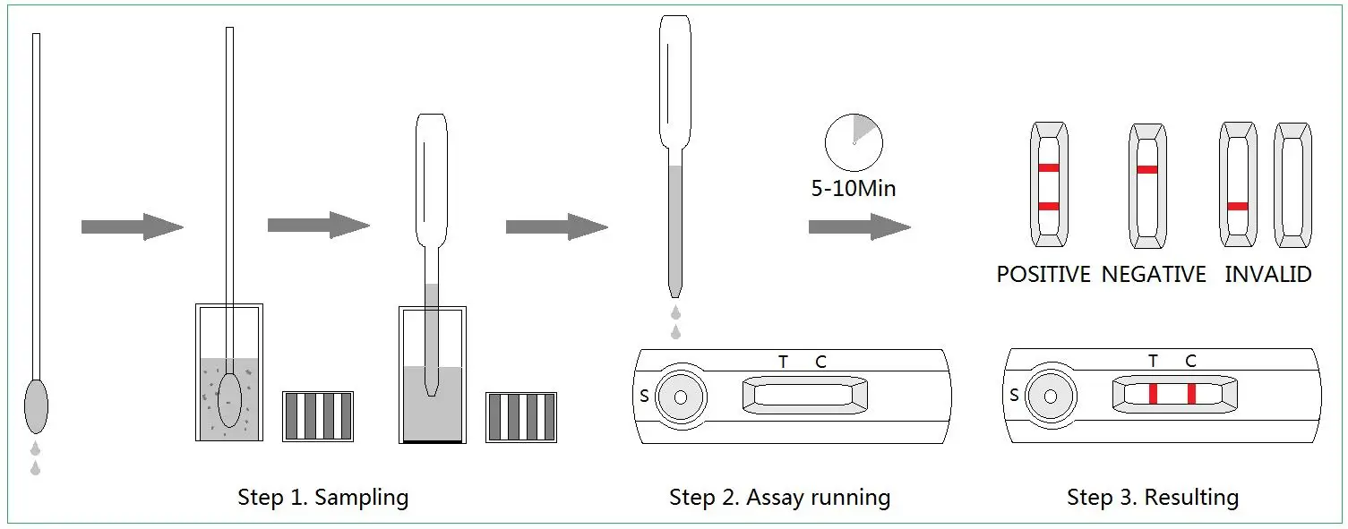 Feline Herpes Virus Antigen Rapid Test Kit – Quick Detection for ...