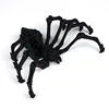 Araignée noire de 24 cm