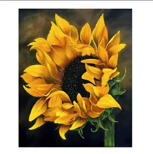 Pintar por Número Girasol Pintura DIY Kit de Pintura por Número para Niños y Adultos Pintura en Lienzo DIY Pintura Acrílica Arte