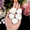10 pc Shiva shell fossil heart