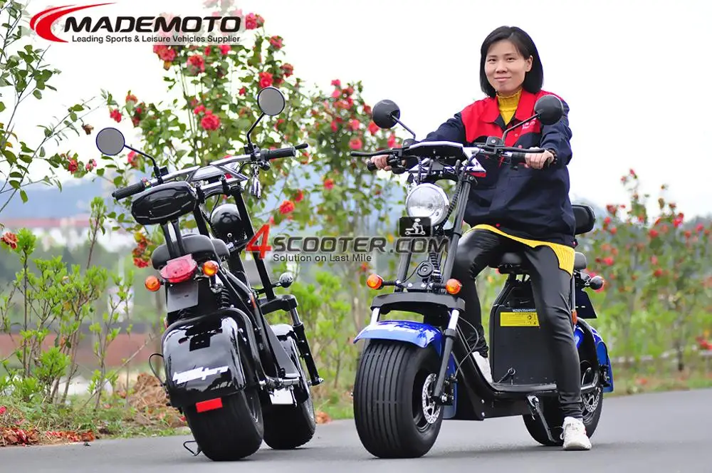 EEC Approved Citycoco Electric Bike with Two Removable Battery New Brand 2018 Electric Scooter Malaysia Price