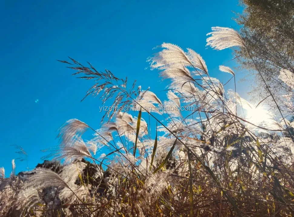 Lawn Grass Cutting Machine Cow Feed Grass Cutter Machine Automatic