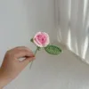 Rosa-2