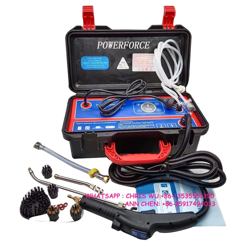 Ozone Portable Steam Cleaner Machine 110V 1700W 220V 3500W High Temp Steaming Machine for Car Detailing Household Dirt Removal