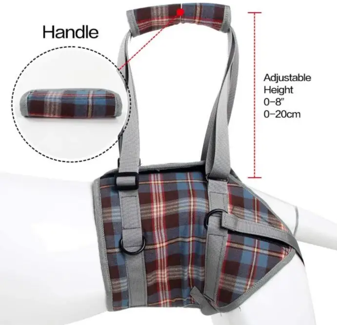 Imbracatura Trasporto Cani - Supporto Gambe Per Scale E Sollevamento - Foto 4