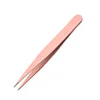 Bouche pointue sous-rose