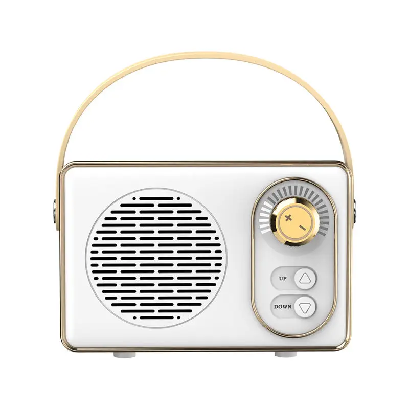 Hot Products 2024 Convenient Singing Microphone Wireless Speaker