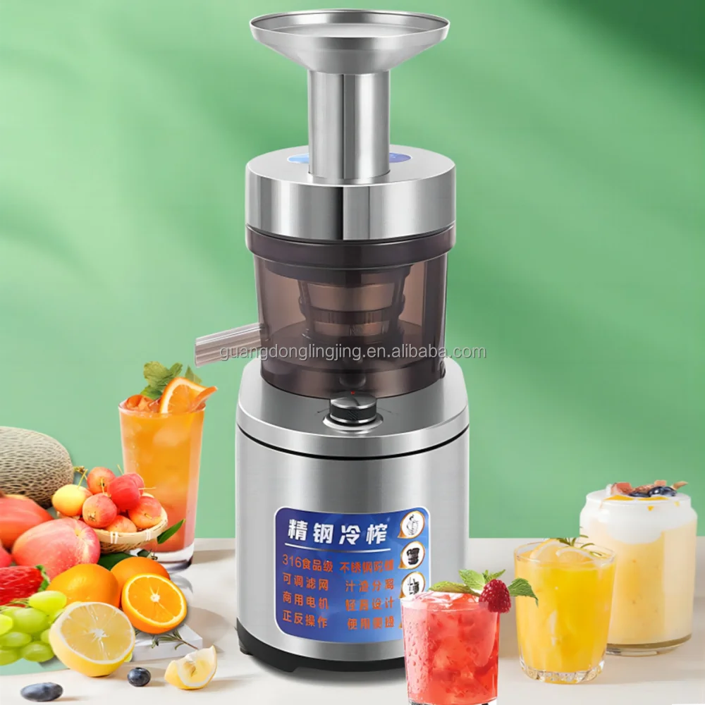 1000W Household Heavy Duty Fruits Vegetables Slow Masticating Cold