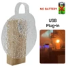 USB Plug-in