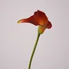 04-Naranja atardecer