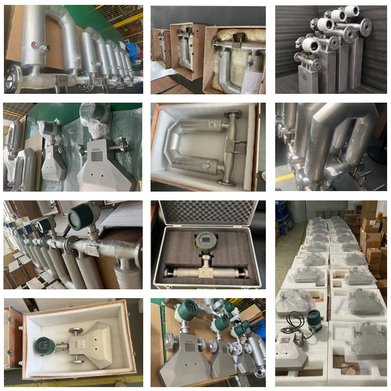 Diesel Bitumen Coriolis Mass Flowmeter Mass Integrate Compact Flow Meter