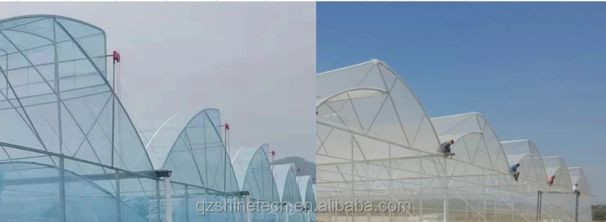 saw tooth greenhouse