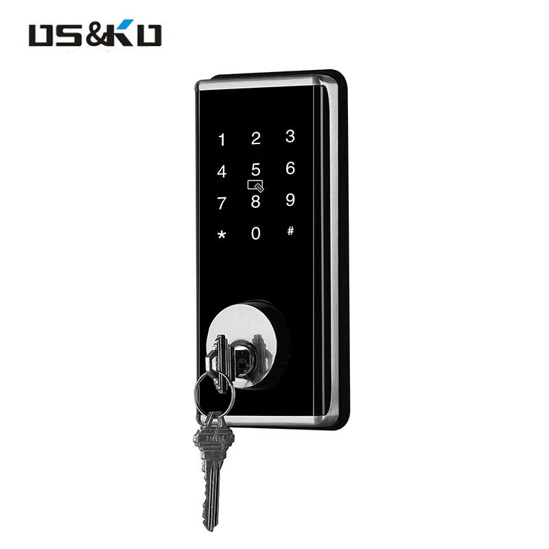 Large Panel Smart Door Lock for Disabled Face Recognition Module Alarm Existing Key for Wood Doors Cloud Data Storage Options