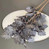 Dusty blue
