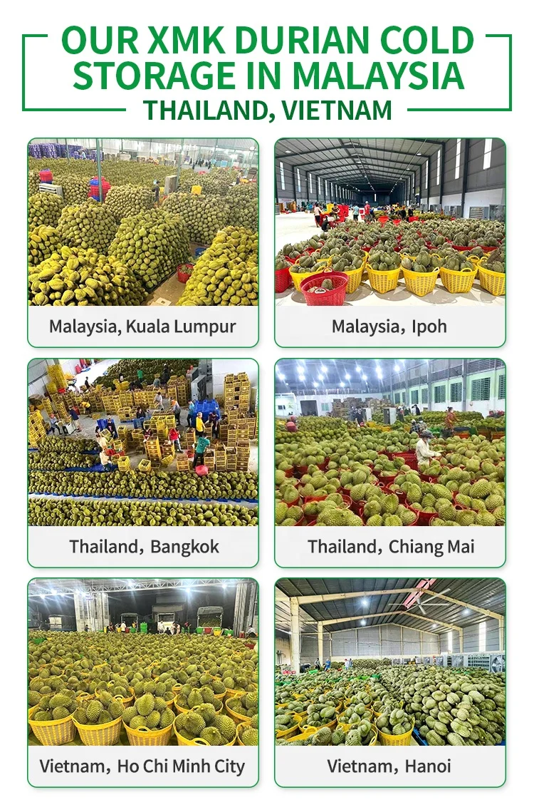 304 Stainless Steel Cold Room System Heater Defrost Evaporator 220v 60hz 3phase Refrigeration Air Cooler