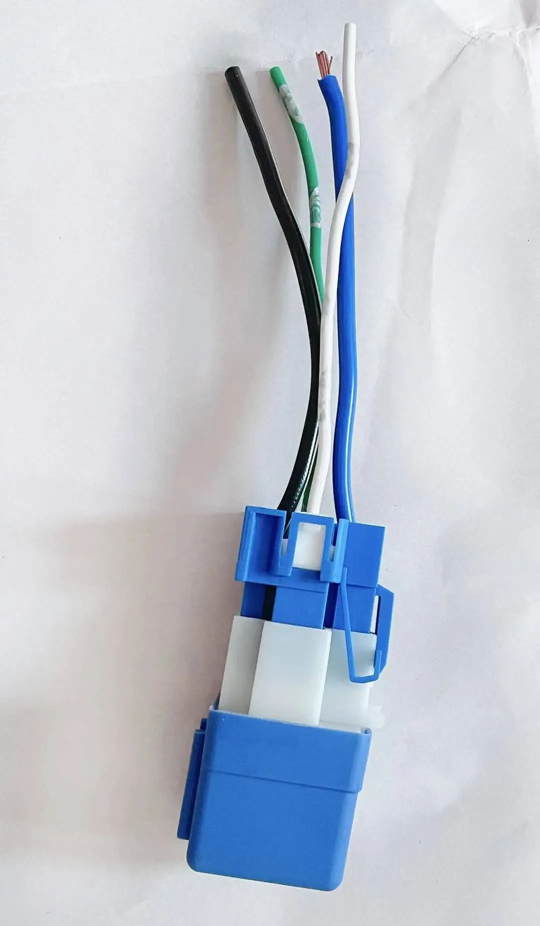 異端児 mirai-bwhc-1416.jpg