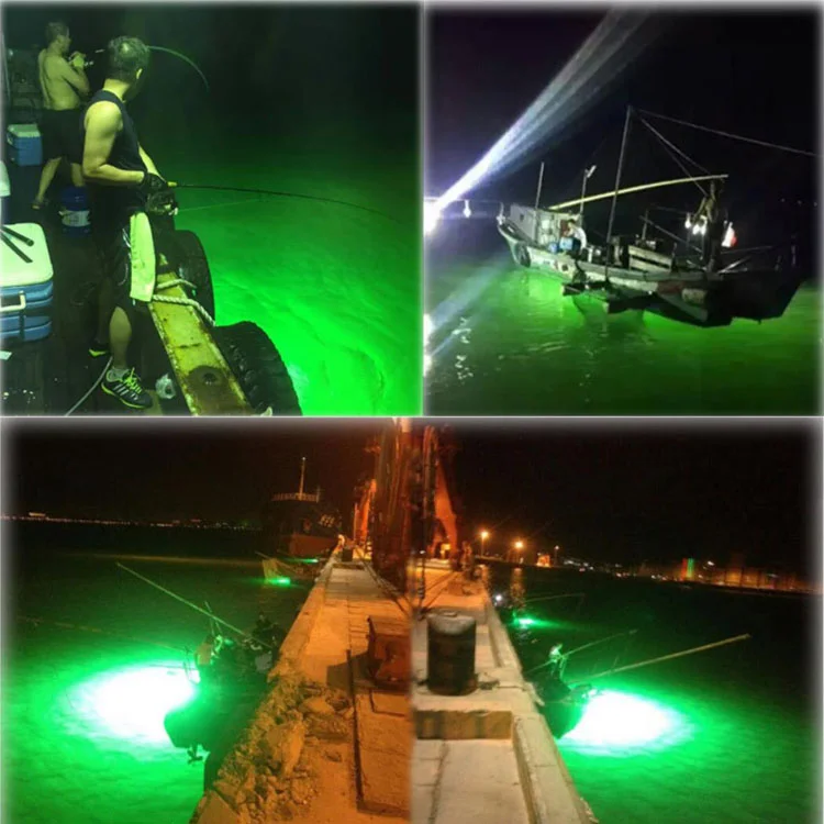fishing lght applicaiton.jpg