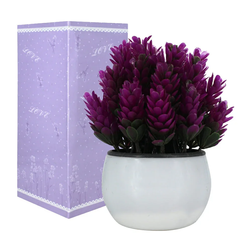 //sc04.alicdn.com/kf/Hbd5cdbfba97a41ccb9be4a8a510a75516/1706159128/Hbd5cdbfba97a41ccb9be4a8a510a75516.png_100x100