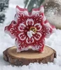 Retro Snowflake Red