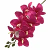 rosa intenso