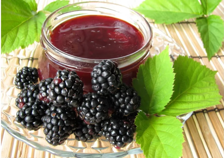 Freeze Dried Blackberry Wholesale | Bulk Blackberry Supplier Hbd69ea7f51474dc89d346fc47a32345du