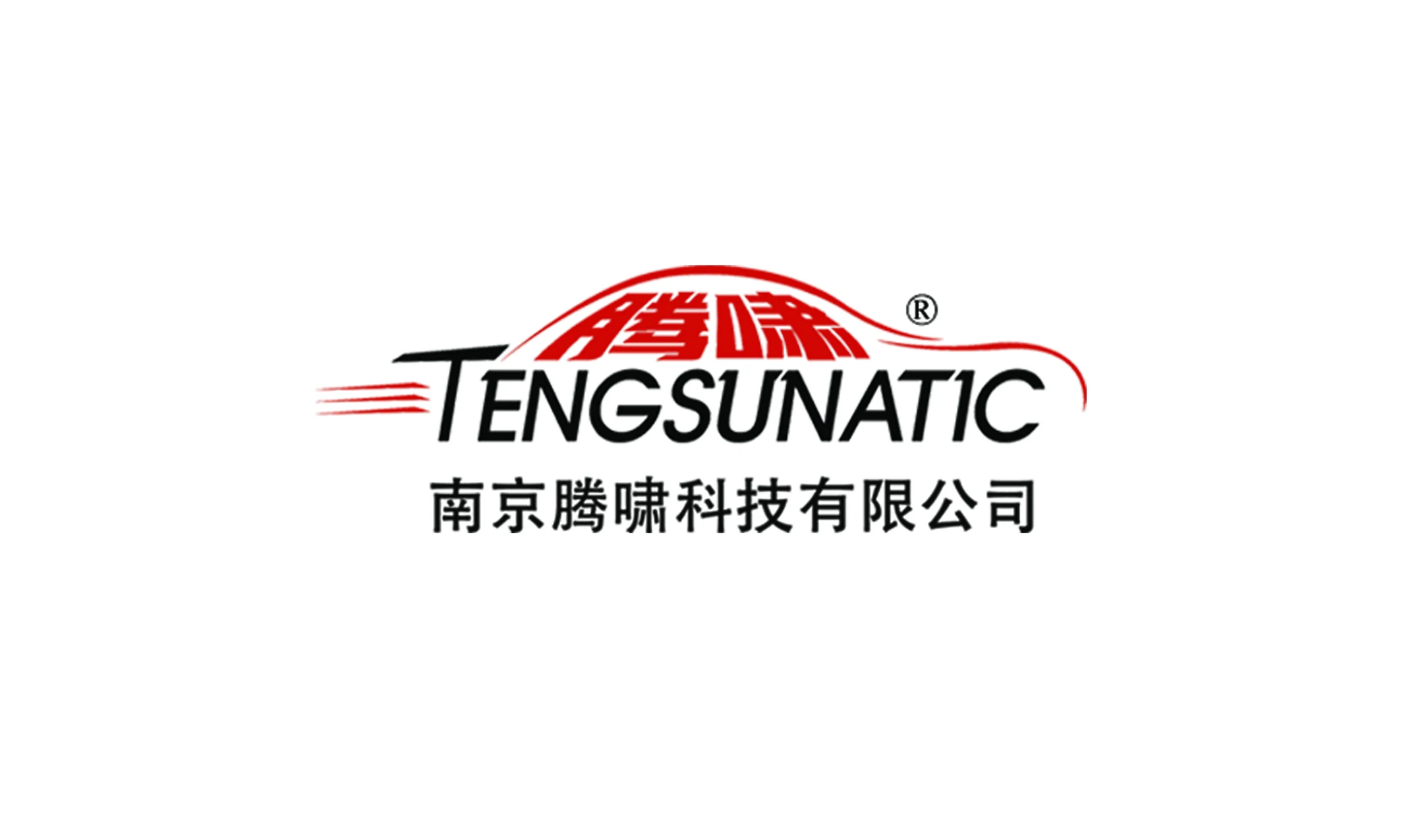 Nanjing Tengsunatic Technology Co., Ltd. - motor, Inverter