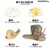 Ciclo de crecimiento del caracol M-2435 4 sets