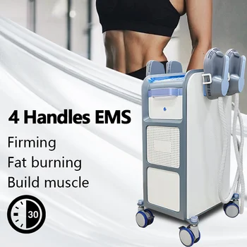 Ems Machine Body Sculpting 4 Handles RF Weight Loss Neo Slimming