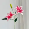 สีชมพู
