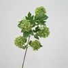 5 a verde oscuro bola de nieve