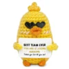 eyeglass duck 2