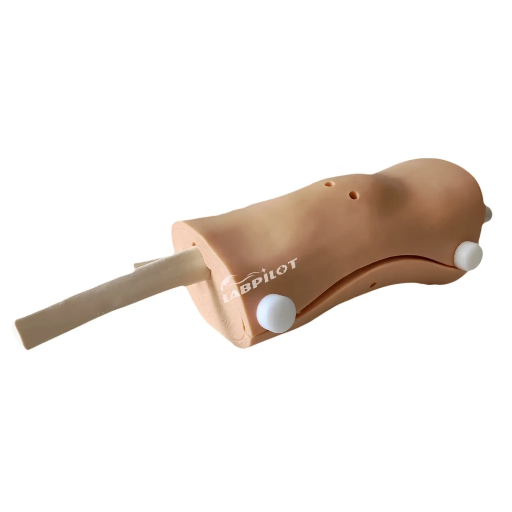 High Quality Arthroscopy Model Knee Joint Medical Teaching ...