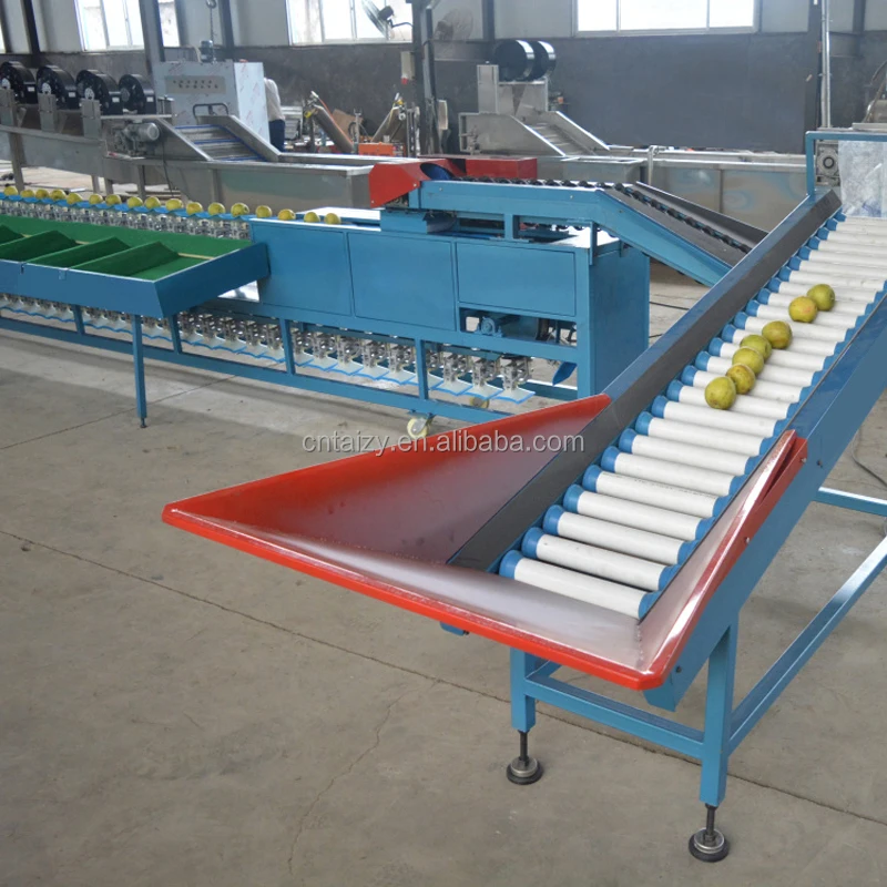 Customize Fruit Vegetable Grader Potato Mango Avocado Sorter Weight Grading Machine