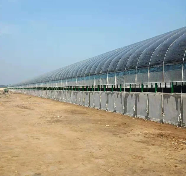 Prefabricated Steel Structure Cowshed Dairy Cow Cattle Farm Shed Barns House Design