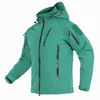 Menthe