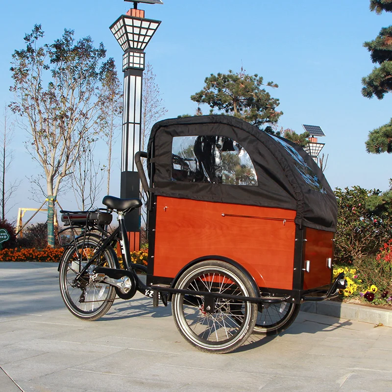 Cargo Bike Electric Tricycle - Adult Tricycle with 3 Wheels