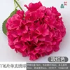 116 กลีบต่อดอกไฮเดรนเยีย สีแดงกุหลาบ