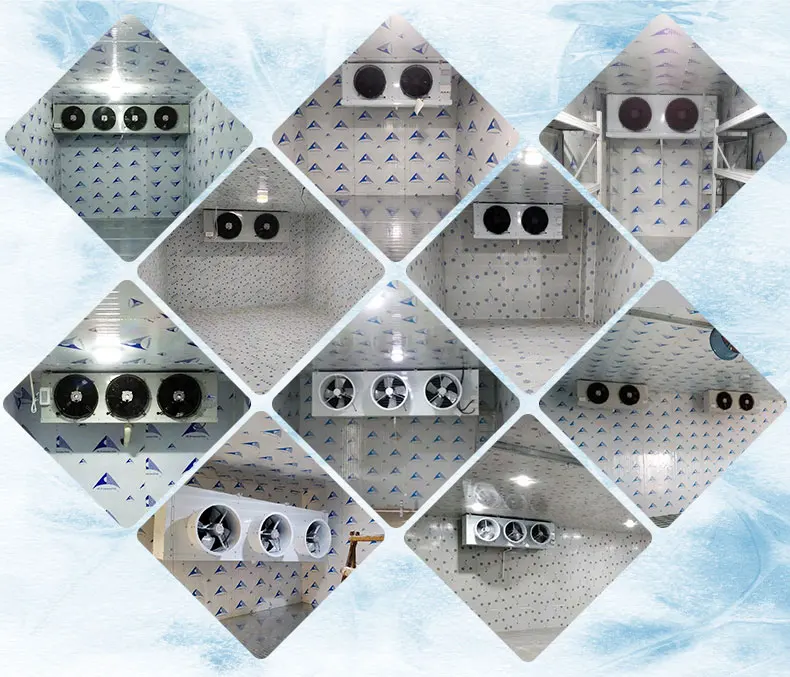 Evaporator Walk In Cooler Wall Mounted Cooling Room Evaporator System