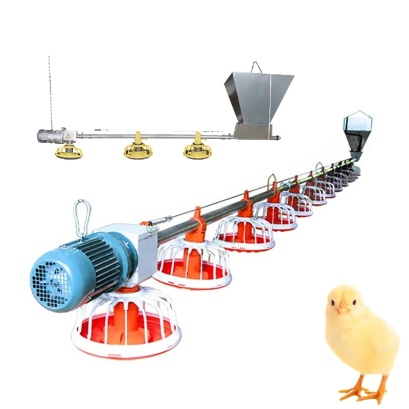 Automatic Feeding System for Poultry Broilers - Easy Use Chicken Feed ...