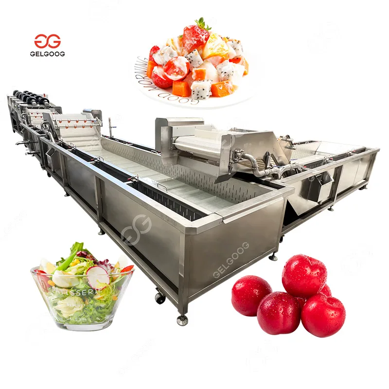 Automatic Electric Fruit and Vegetable Cleaner Coconut Meat Washer Mango Bubble Wash Machine