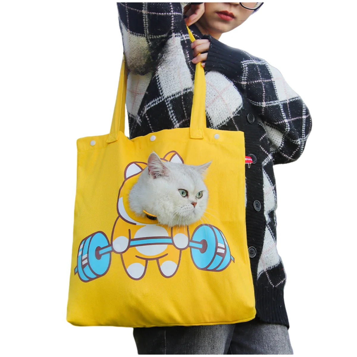 Honeypet Lion-Shaped Cat Carrier Bag Eco-Friendly Portable
