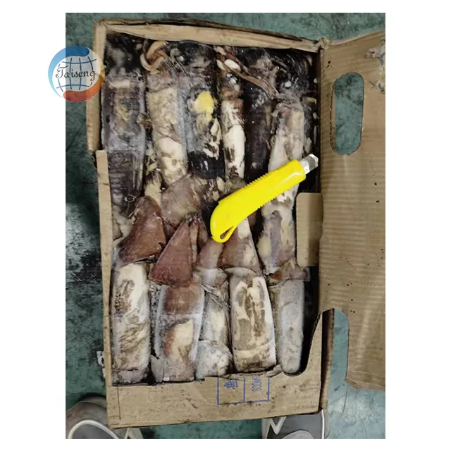Cheap Fresh Seafood Frozen Calamari Indian Squid