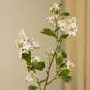 Rosa-singolo