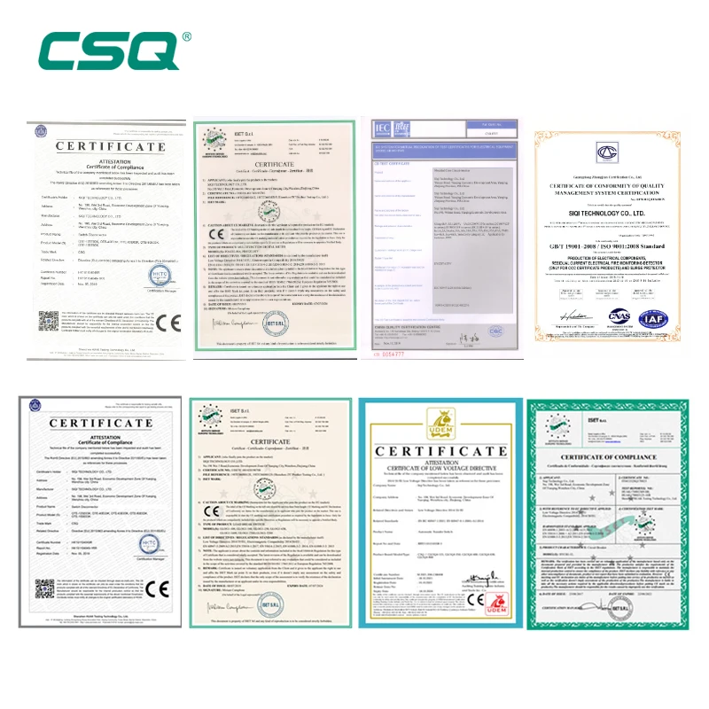 CSQ MCB Type 2P Automatic Changeover Switch 10A 32A 63A Automatic Transfer Switch Ats Dual Power Automatic Transfer Switch ATSE