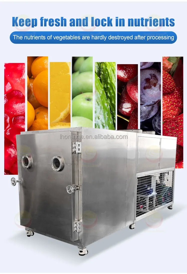 Industrial Large Freeze Drying Equipment Freeze Dryer Prices - Buy ...