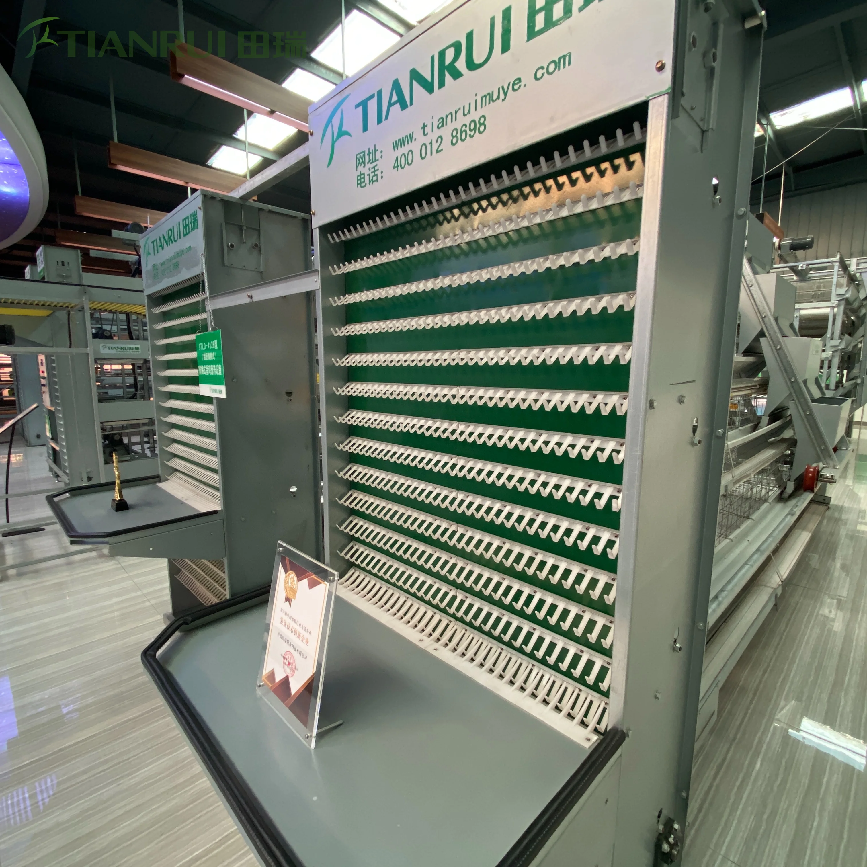 Machinery Layer Cages Systems of Chicken Cage House With Automatic Egg Collection